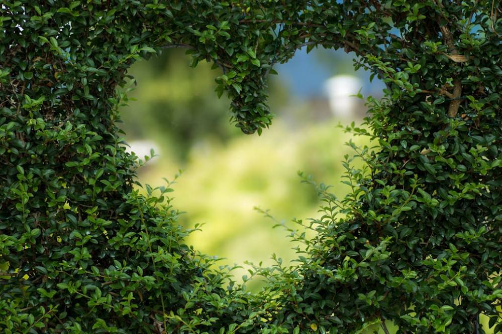 The Power of Love is the Power of Transcendence